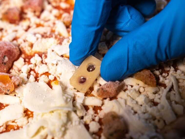Ce capteur de surgelés est comestible et change de couleur si la chaîne du froid est interrompue 1 Ce Capteur De Surgelés Est Comestible Et Change De Couleur