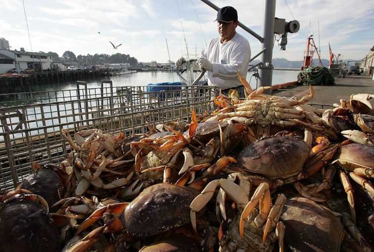 Des milliards de coquillages en moins dans les mers d'Alaska (mais la surpêche n'en est pas la cause) 1 Des Milliards De Coquillages En Moins Dans Les Mers D'alaska