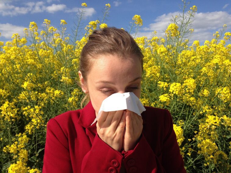 Allergies au pollen même en automne dues au changement climatique : des symptômes plus intenses et plus durables 1 Allergies Au Pollen Même En Automne Dues Au Changement Climatique