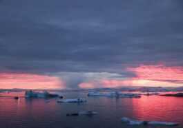 Parce Que L'arctique Pourrait Bientôt Déclencher Une Nouvelle Pandémie