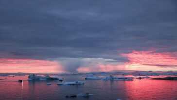 Parce Que L'arctique Pourrait Bientôt Déclencher Une Nouvelle Pandémie