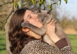 Les Chats Comprennent Quand Nous Leur Parlons Et Ils Reconnaissent
