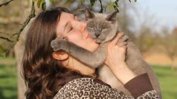 Les chats comprennent quand nous leur parlons et ils reconnaissent notre voix 9 Les Chats Comprennent Quand Nous Leur Parlons Et Ils Reconnaissent