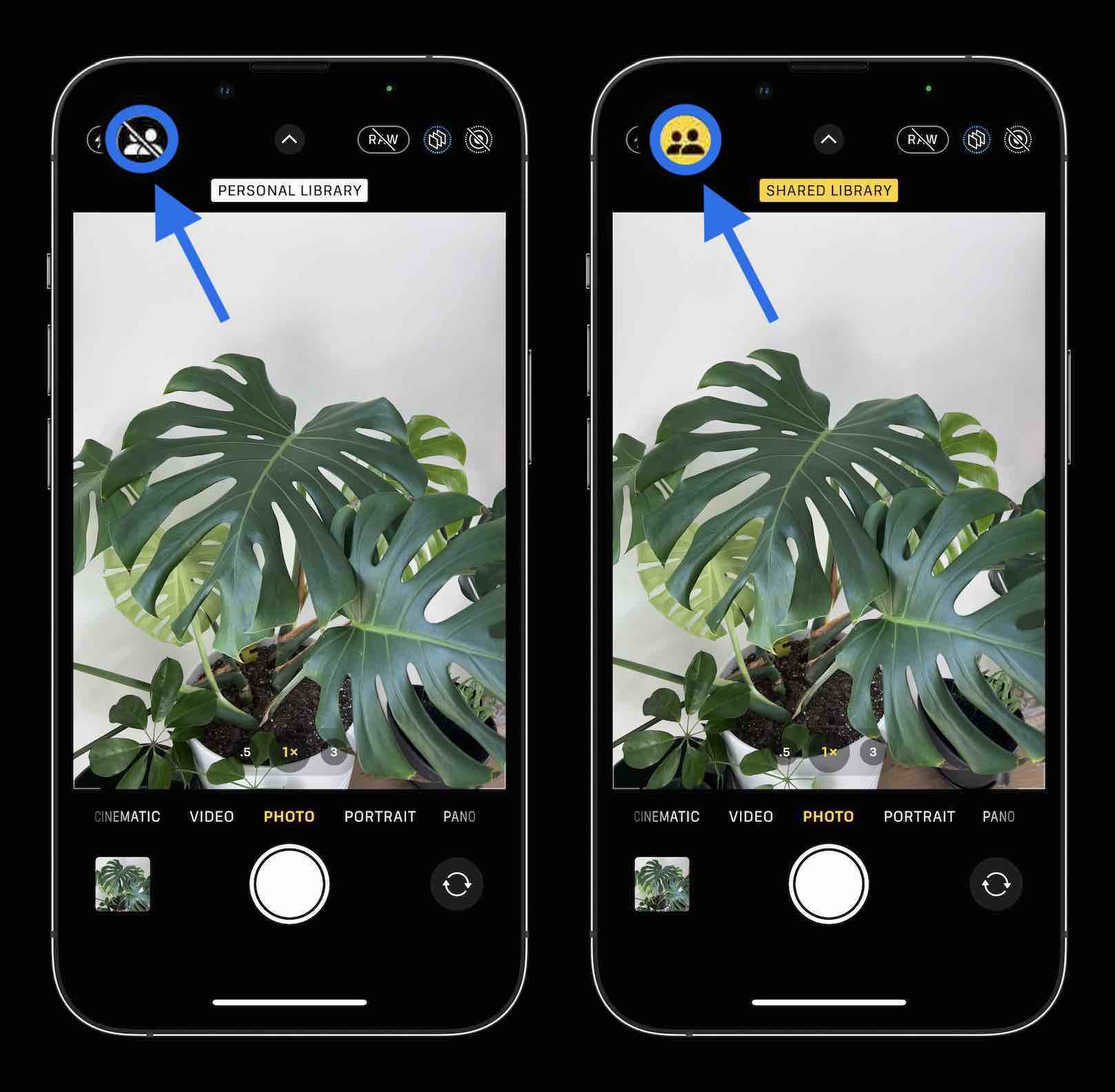 Bibliothèque de photos partagée iCloud : voici comment cela fonctionne dans iOS 16 Photothèque partagée iCloud 2