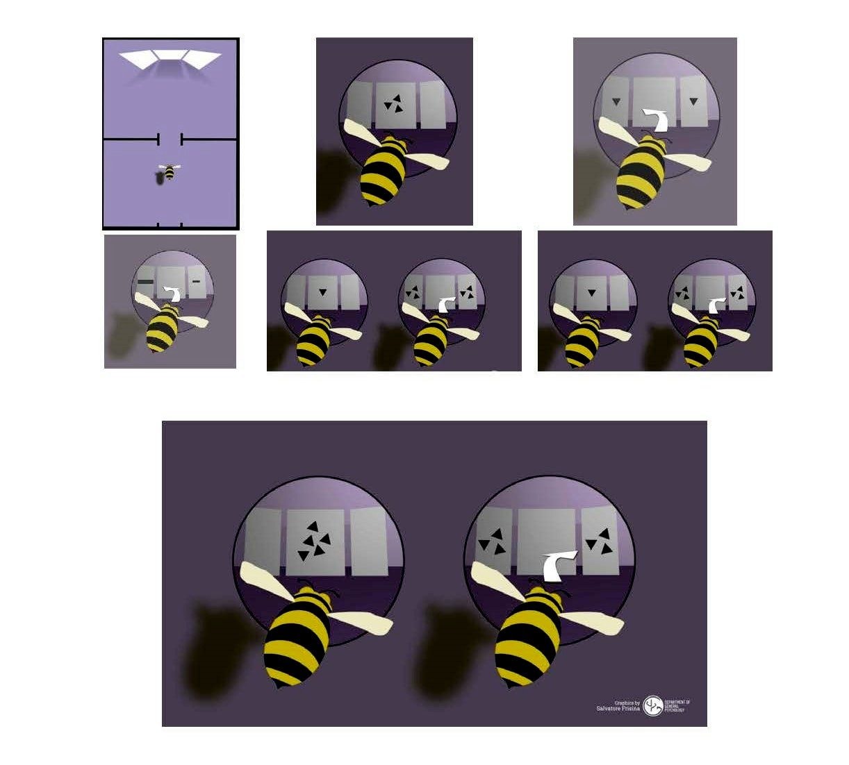 1666859973 75 Les abeilles savent lire les chiffres comme nous
