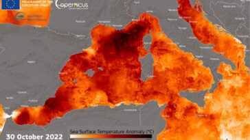 La mer Méditerranée est « chaude » depuis des mois, des pics de 5°C de plus que la moyenne. Les risques 17 La Mer Méditerranée Est « Chaude » Depuis Des Mois,
