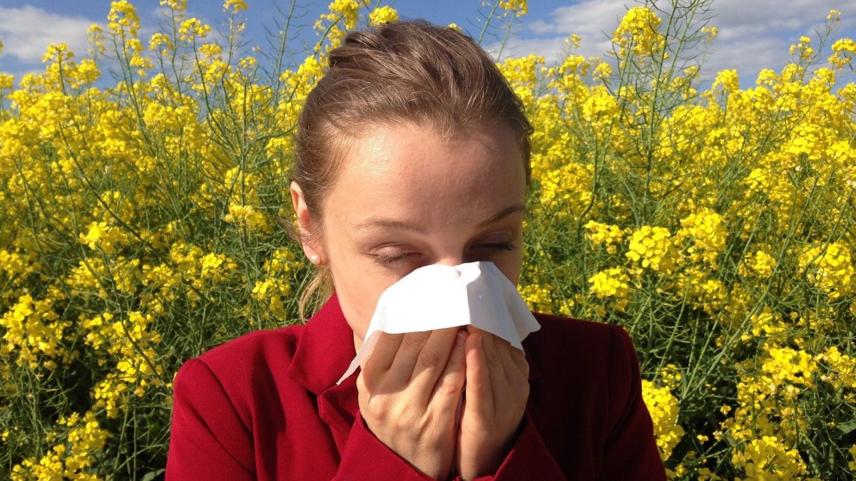 Allergies au pollen même en automne dues au changement climatique : des symptômes plus intenses et plus durables 2 Allergies au pollen meme en automne dues au changement climatique