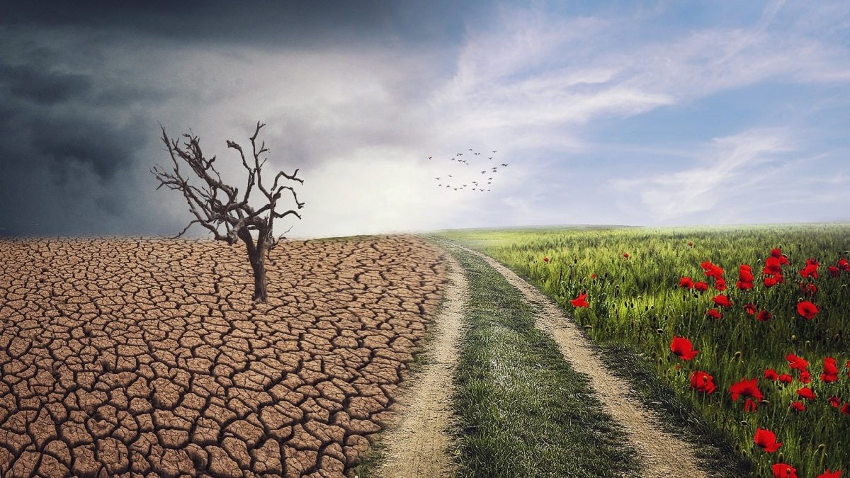 D'ici 2100, les températures augmenteront de 2,5°C : le nouveau rapport de l'ONU est un cri d'alarme 2 Dici 2100 les temperatures augmenteront de 25°C le nouveau