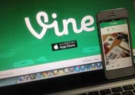 Elon Musk Pourrait Ramener Vine, Fera Payer Les Utilisateurs Pour