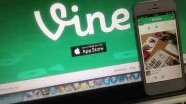 Elon Musk pourrait ramener Vine, fera payer les utilisateurs pour la vérification Twitter 16 Elon Musk Pourrait Ramener Vine, Fera Payer Les Utilisateurs Pour
