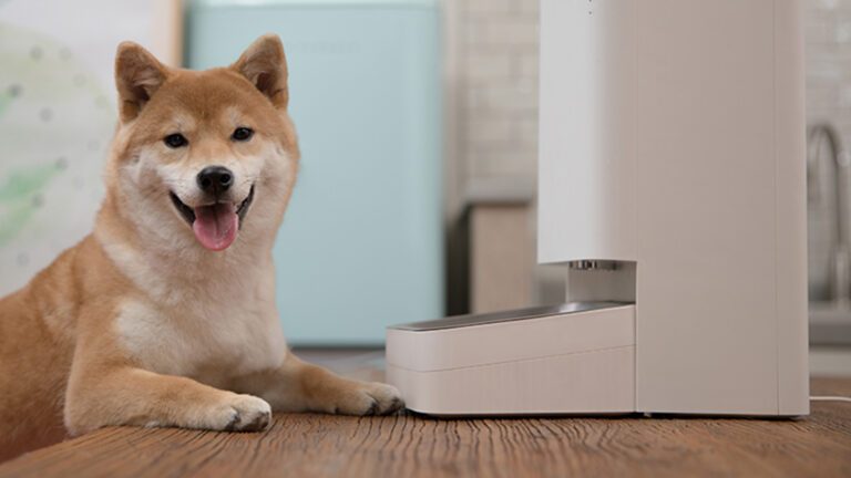 Xiaomi Food Feeder : avons-nous vraiment besoin d'une technologie intelligente pour nos animaux de compagnie ? 2 Mangeoire Xiaomi