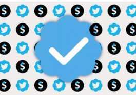 Twitter Payant ? Les Changements D'elon Musk Agacent Même Stephen