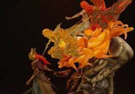 Malenia Joue Dans La Meilleure Figurine D'elden Ring Que Vous