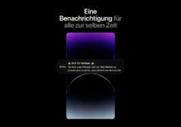 Bereal : Voici Comment Fonctionne L'application Tendance Française