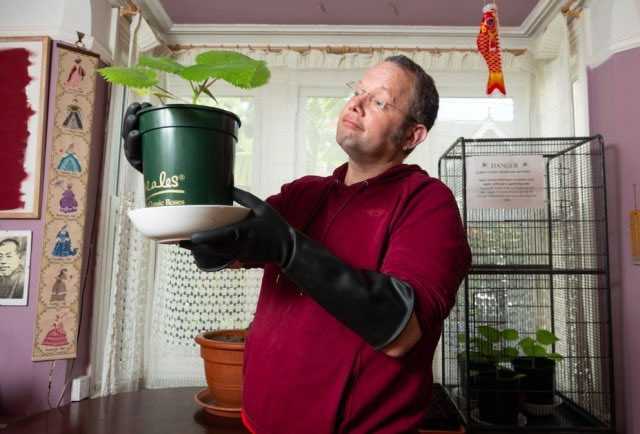 Parce que cet homme a décidé de cultiver chez lui l'une des plantes les plus dangereuses au monde 1 Parce Que Cet Homme A Décidé De Cultiver Chez Lui