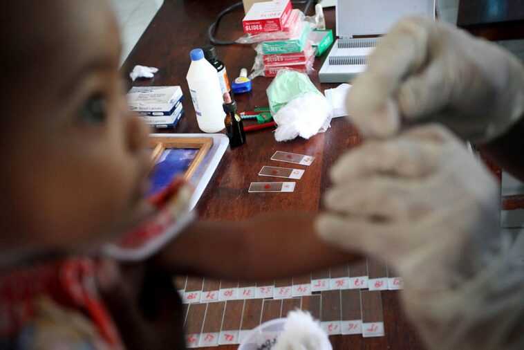 Un nouvel anticorps monoclonal protège efficacement et durablement contre le paludisme 1 Un Nouvel Anticorps Monoclonal Protège Efficacement Et Durablement Contre Le