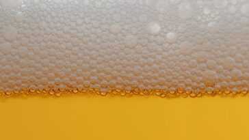 Le Houblon à Bière Contient Des Substances Qui Protègent Contre