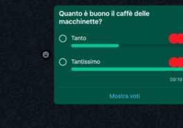 Les Sondages Sont Enfin Arrivés Sur Whatsapp, Voici Comment Les
