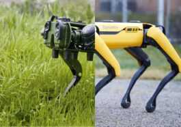Boston Dynamics Poursuit Un Fabricant De Chiens Robots Rival Pour