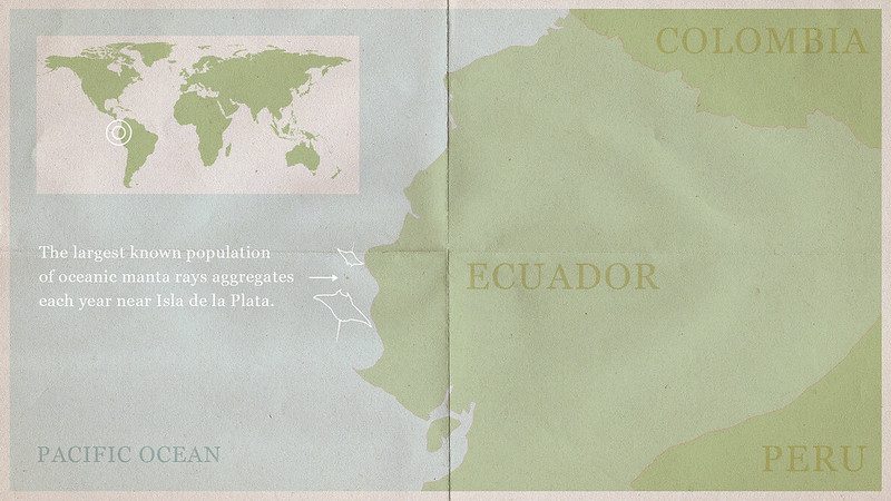 Énorme population de raies manta géantes découverte dans l'océan : elle est 10 fois plus grande que n'importe quelle autre 3 La zone où la population de raies manta a été trouvée. Crédit : Université d'État de l'Oregon