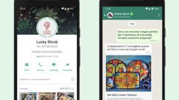 Sur Whatsapp, Vous Pouvez Faire Du Shopping, Comment Fonctionnent Les