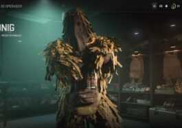 Ce Skin Warzone Payant Ne Vous Permet Pas De Voir