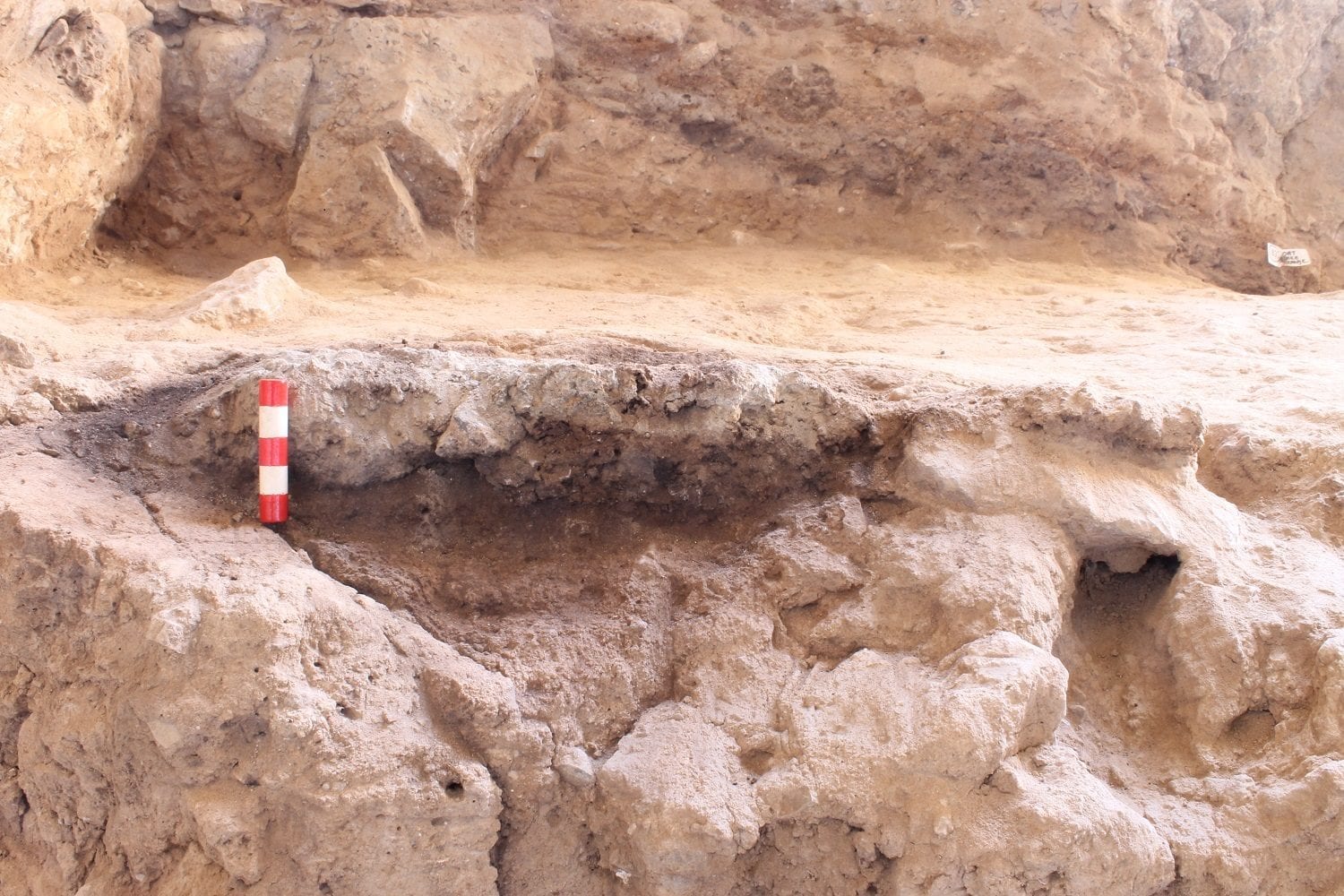 La grotte où les restes ont été retrouvés.  Crédit Université de Liverpool