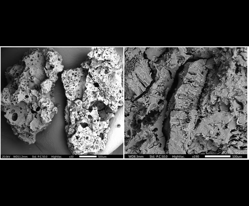 Analyse microscopique des restes de nourriture.  Crédit : Université de Liverpool
