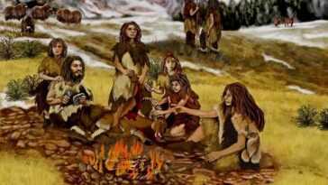 Les Néandertaliens cuisinaient des plats avec des herbes, des noix et des céréales : le plus ancien "four" découvert 22 Les Néandertaliens Cuisinaient Des Plats Avec Des Herbes, Des Noix