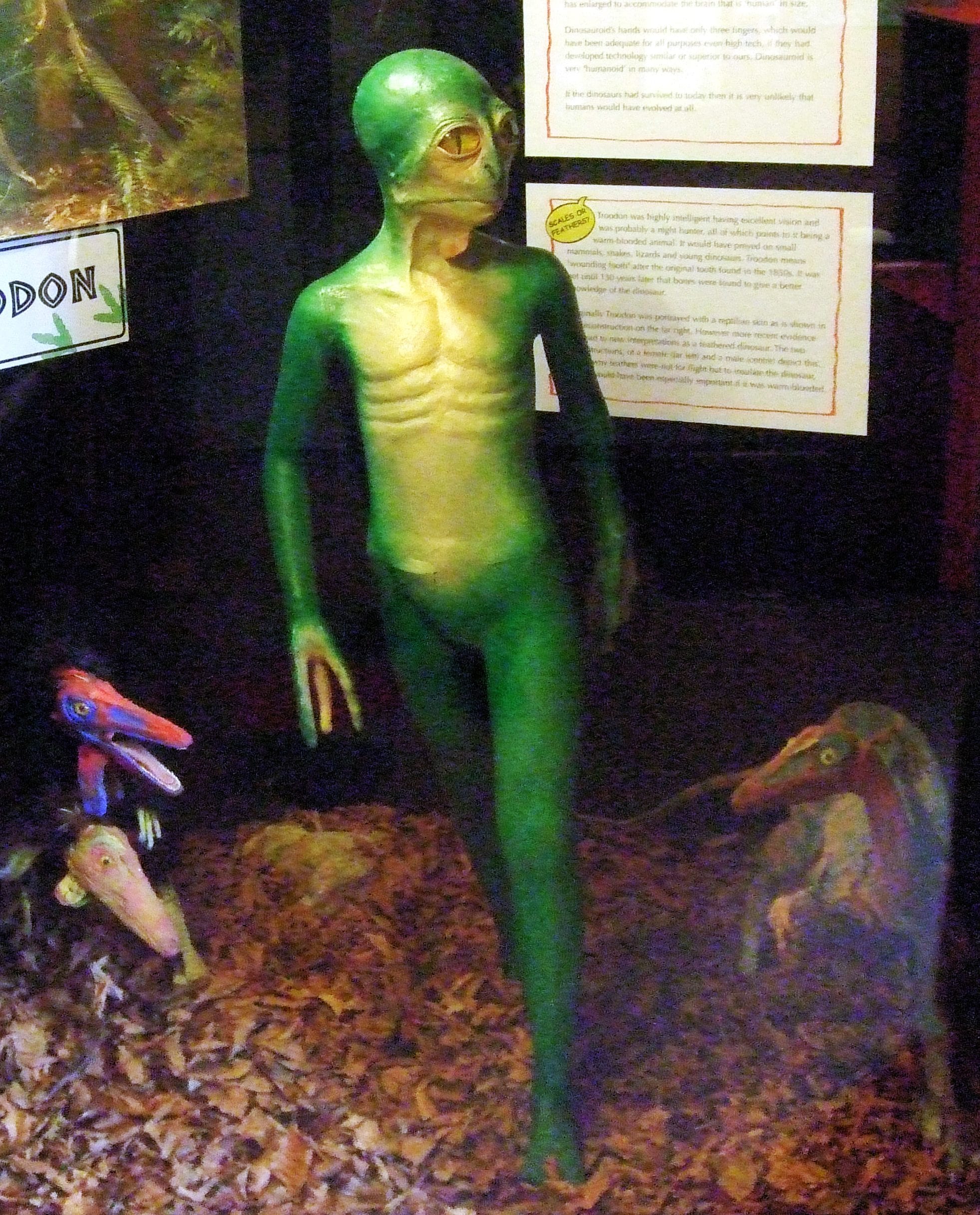 À quoi ressembleraient les dinosaures non aviaires aujourd'hui s'ils n'avaient pas disparu il y a 66 millions d'années 5 Dinosauroïde. Crédit : wikipédia