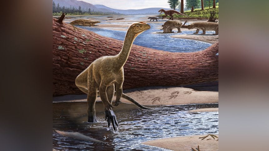 À quoi ressembleraient les dinosaures non aviaires aujourd'hui s'ils n'avaient pas disparu il y a 66 millions d'années 8 Crédit : Andrey Atuchin/Virginia Tech