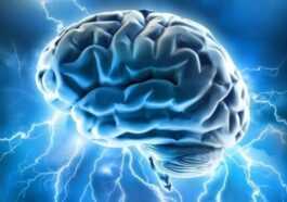 La forme de certaines protéines peut indiquer l'apparition de la maladie de Parkinson 34 La Forme De Certaines Protéines Peut Indiquer L'apparition De La