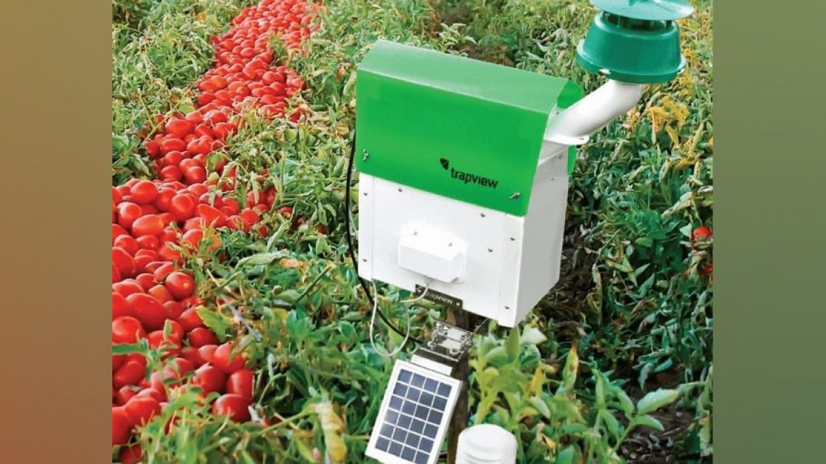 Ce piège à parasites alimenté par l'IA peut réduire les pertes de récoltes : comment cela fonctionne 2 Un piège hi-tech. Crédit : Trapview / Instagram