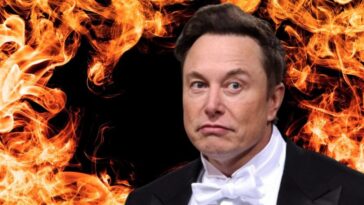 De combien le patrimoine d'Elon Musk a-t-il augmenté après la victoire de Trump aux élections américaines de 2024 ? 22 Immagine