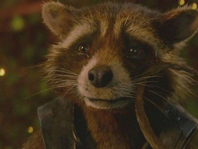 James Gunn a réalisé Les Gardiens de la Galaxie Tome 3 parce qu'il voulait dire au revoir avec style à son personnage préféré 2 James Gunn a réalisé Les Gardiens de la Galaxie Tome 3 parce qu'il voulait dire au revoir avec style à son personnage préféré