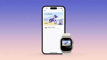 La prise en charge du stockage de votre identifiant dans Apple Wallet s'étend enfin à un autre État américain 26 La prise en charge du stockage de votre identifiant dans Apple Wallet s'étend enfin à un autre État américain