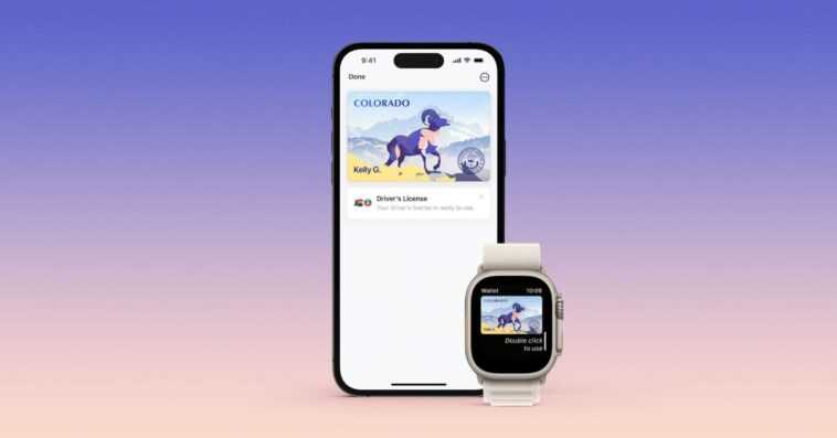 La prise en charge du stockage de votre identifiant dans Apple Wallet s'étend enfin à un autre État américain 1 La prise en charge du stockage de votre identifiant dans Apple Wallet s'étend enfin à un autre État américain