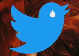 L'abonnement Twitter Blue n'est plus disponible ;  les coches ont disparu de certains comptes payants