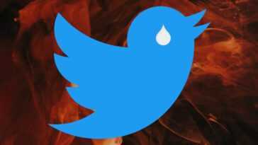 L'abonnement Twitter Blue n'est plus disponible ; les coches ont disparu de certains comptes payants 6 L'abonnement Twitter Blue n'est plus disponible ; les coches ont disparu de certains comptes payants