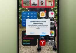 Un bogue bizarre sur iPhone et iPad fait planter Safari lorsque vous tapez certaines lettres [U]