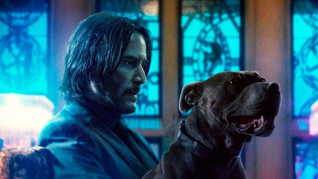 Univers John Wick confirmé : Keanu Reeves rejoint le casting de Ballerina avec Ana de Armas 2 Univers John Wick confirmé : Keanu Reeves rejoint le casting de Ballerina avec Ana de Armas
