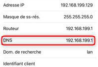 Top 4 méthodes pour contourner le verrouillage d'activation iPhone/iPad 10 Changement de l’adresse DNS