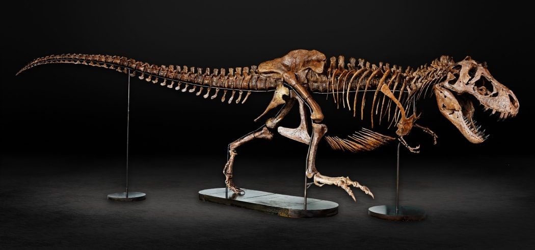 Barbare.  Crédit : Musée du mémorial de guerre d'Auckland - Tamaki Paenga Hira