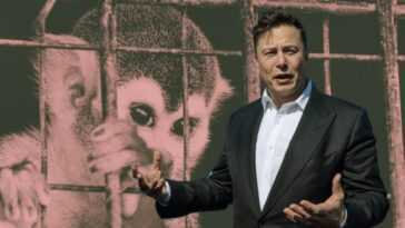 Neuralink D'elon Musk Fait L'objet D'une Enquête : "il A