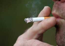 Les Fumeurs Risquent 56 Maladies : "50% De Ceux Qui