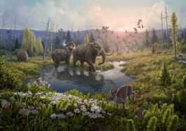 L'ADN le plus ancien jamais séquencé révèle à quoi ressemblait l'Arctique il y a deux millions d'années 46 L'adn Le Plus Ancien Jamais Séquencé Révèle à Quoi Ressemblait
