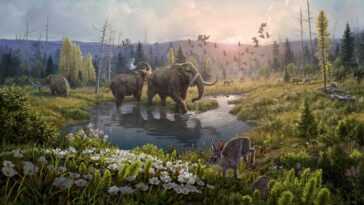 L'ADN le plus ancien jamais séquencé révèle à quoi ressemblait l'Arctique il y a deux millions d'années 28 L'adn Le Plus Ancien Jamais Séquencé Révèle à Quoi Ressemblait