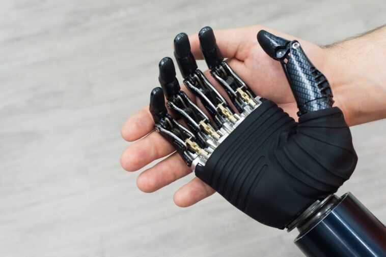 L'école Sant'Anna de Pise cherche un bras : "Nous avons besoin d'un volontaire pour tester notre main robotique" 1 L'école Sant'anna De Pise Cherche Un Bras : "nous Avons
