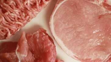 Les substituts de viande végétaliens n'ont pas toujours les qualités nutritionnelles que vous attendez 24 Les Substituts De Viande Végétaliens N'ont Pas Toujours Les Qualités