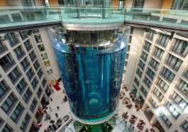 Comment est-il possible qu'un aquarium puisse exploser soudainement 7 Comment Est Il Possible Qu'un Aquarium Puisse Exploser Soudainement
